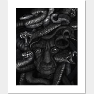 The gorgon Posters and Art